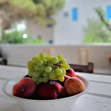 Gasthuis Special Rate Due To Pre Renovation! Bohemian Island House Pool And Beach Mykonos Town