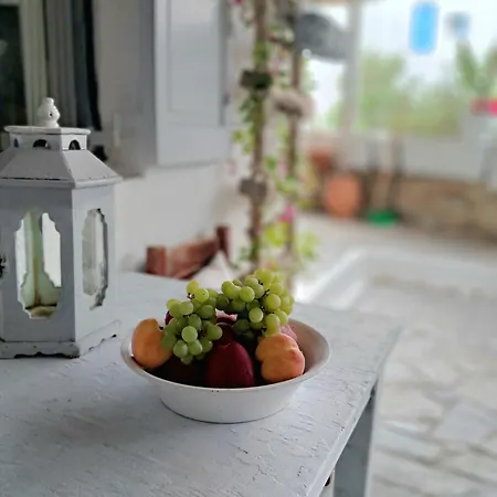 Guest house Special Rate Due To Pre Renovation! Bohemian Island House Pool And Beach