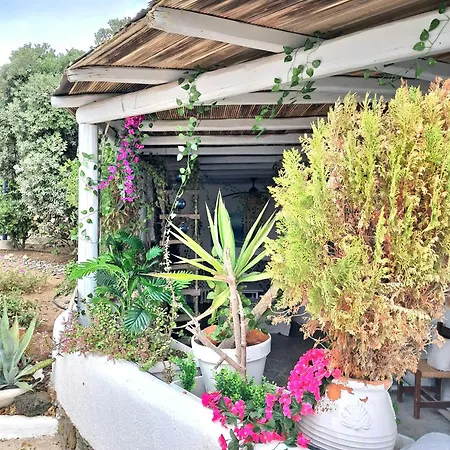Guest house Special Rate Due To Pre Renovation! Bohemian Island House Pool And Beach *